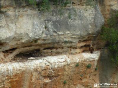 Escalerón,Raya,Catedrales de Uña;bardenas reales rutas el senderismo madrid sierra pueblos sierra 